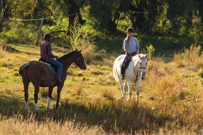 Horseback Small-Group Trail Rides in Muldersdrift - Key Things to Know Before You Go