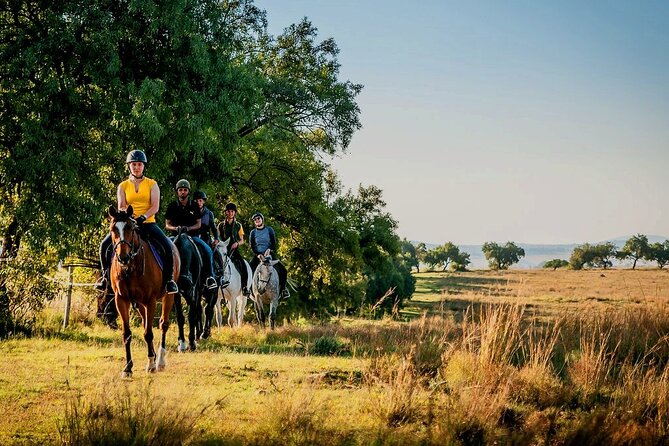 Horseback Small-Group Trail Rides in Muldersdrift - How the Guides Keep the Ride Comfortable for Beginners and Regular Riders