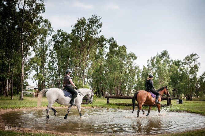 Horseback Small-Group Trail Rides in Muldersdrift - Views Toward Johannesburg, the Magaliesberg, and the Cradle of Humankind