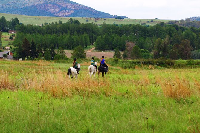 Horseback Small-Group Trail Rides in Muldersdrift - Price and Value: What $34.69 Buys You