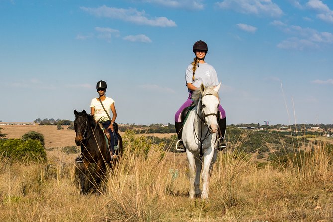 Horseback Small-Group Trail Rides in Muldersdrift - Getting Started at Shepherd’s Fold Stables (and What to Expect)