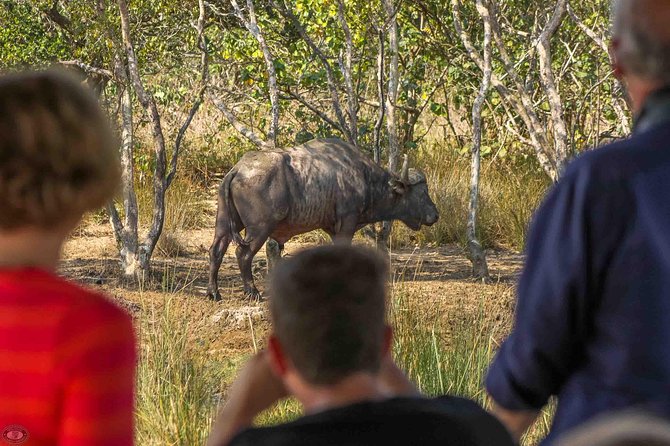 iSimangaliso Wetland Park, Full Day Tour - How the iSimangaliso stop works in real life (and what to watch for)