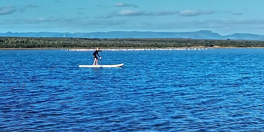 Jeffreys Bay: Stand Up Paddle Boarding - Who should book this SUP, and who should skip it
