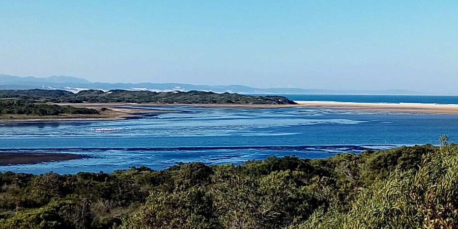Jeffreys Bay: Stand Up Paddle Boarding - Should you book this Jeffreys Bay stand-up paddleboarding trip?