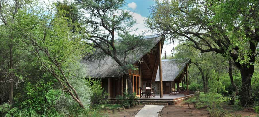 Johannesburg: 2-Day 4-Star Pilanesberg Safari - Big Five odds in a short time, and how to manage your expectations