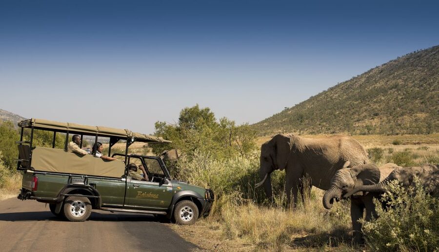Johannesburg: 2-Day 4-Star Pilanesberg Safari - Conservation fee at the gate: plan for it, and don’t skip it