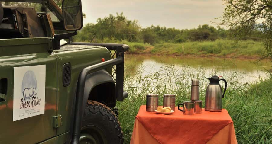 Johannesburg: 2-Day 4-Star Pilanesberg Safari - Day 1: Johannesburg pickup, morning entry drive, lodge lunch, afternoon 4x4 game drive
