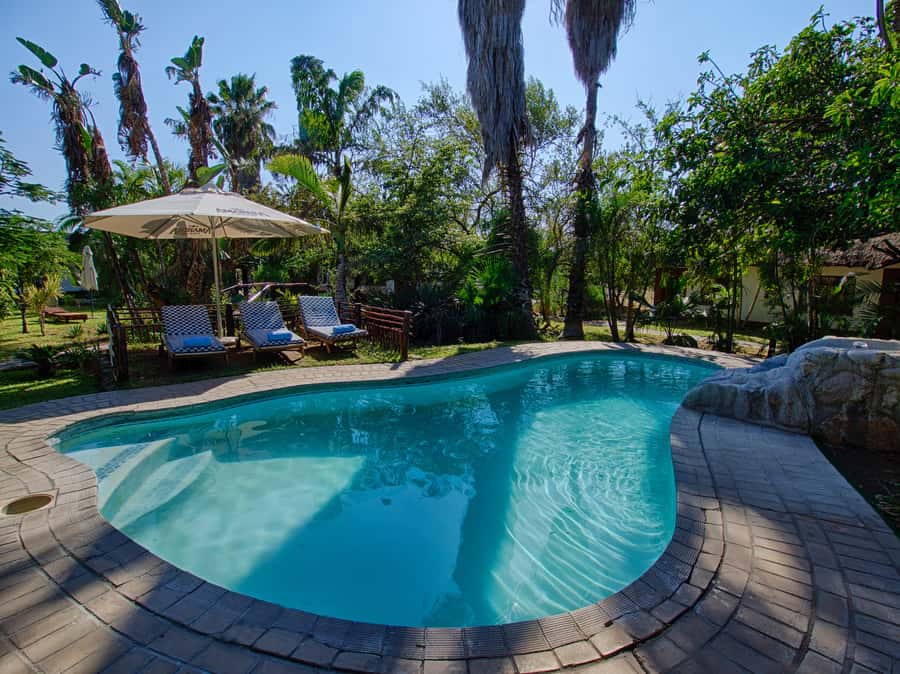 Johannesburg: 3-Day Classic Kruger National Park Safari Tour - Key things that make this safari work