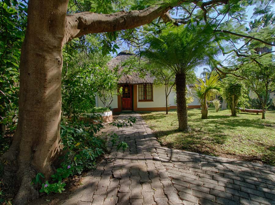 Johannesburg: 3-Day Classic Kruger National Park Safari Tour - Practical tips to help you get more from every drive