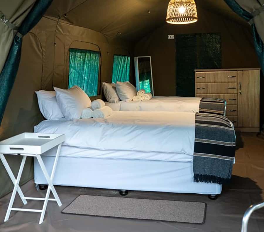Johannesburg: 3-Day Kruger Budget Glamping Safari - Who this safari fits best (and who should rethink it)