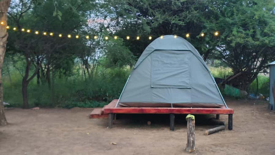 Johannesburg: 3-Day Pilanesberg Camping Adventure - Pilanesberg Crater Safari From Johannesburg, Without the Long Detour Feeling