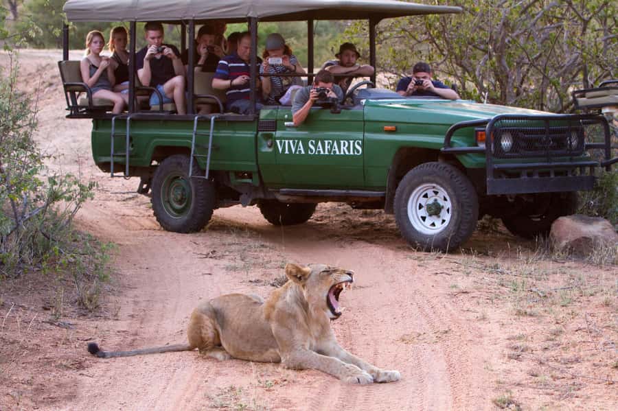Johannesburg: 4-Day Classic Kruger National Park Safari - Key highlights I’d plan around