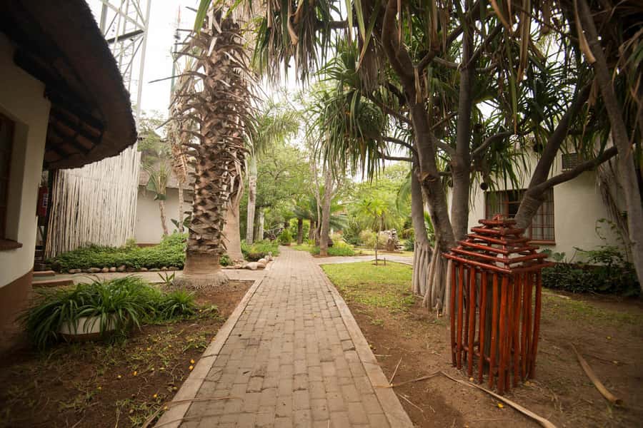 Johannesburg: 4-Day Classic Kruger National Park Safari - Who this safari fits, and who should look at other options