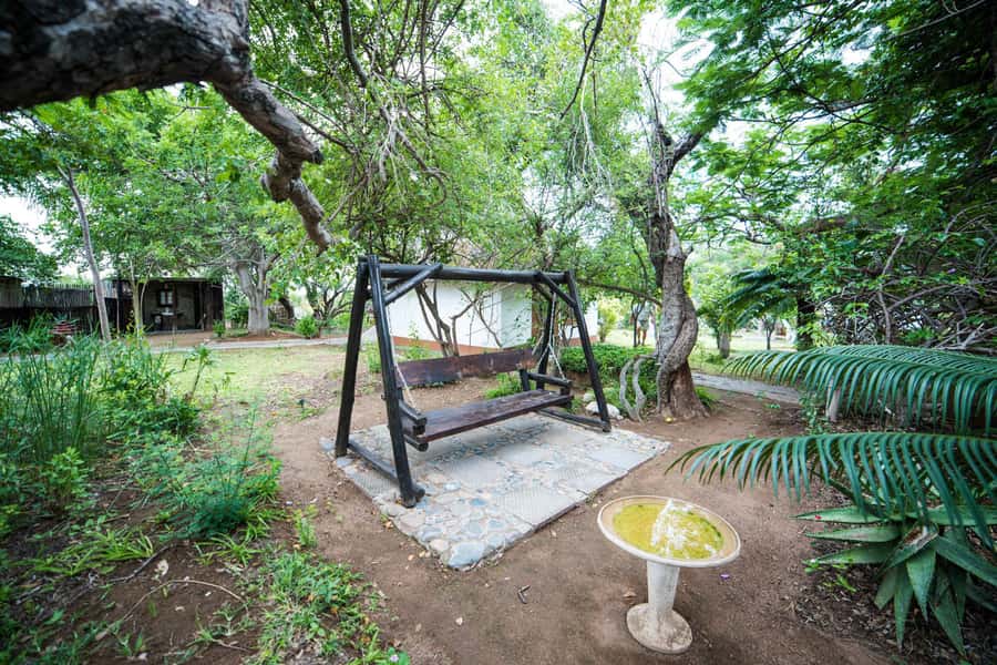 Johannesburg: 4-Day Classic Kruger National Park Safari - Day Four: Sunrise drive, then Blyde River Canyon and Three Rondawels
