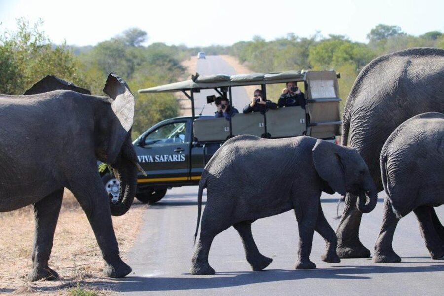 Johannesburg: 4-Day Classic Kruger National Park Safari - Tremisana Lodge and the rhythm of breaks