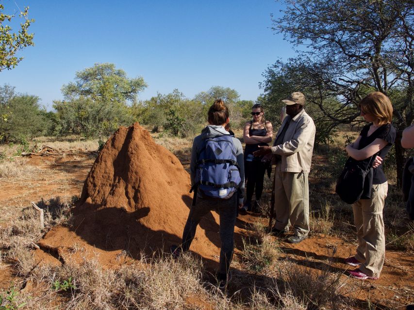 Johannesburg: 5-Day Classic Kruger National Park Safari - Day 2: Sunrise Olifants River bushwalk and a full afternoon of hunting light