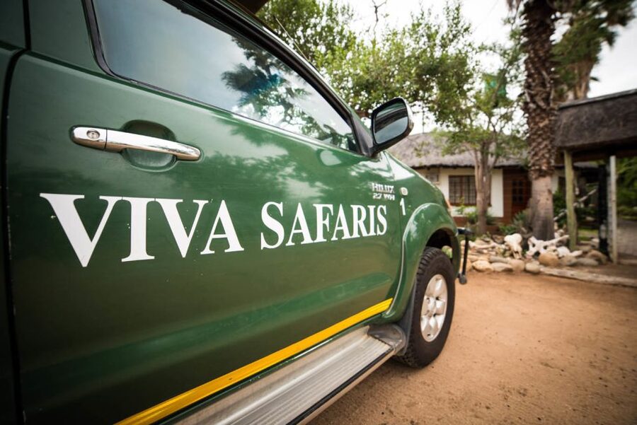 Johannesburg: 5-Day Classic Kruger National Park Safari - Tremisana lodge life: comfortable base, good food, and downtime that counts