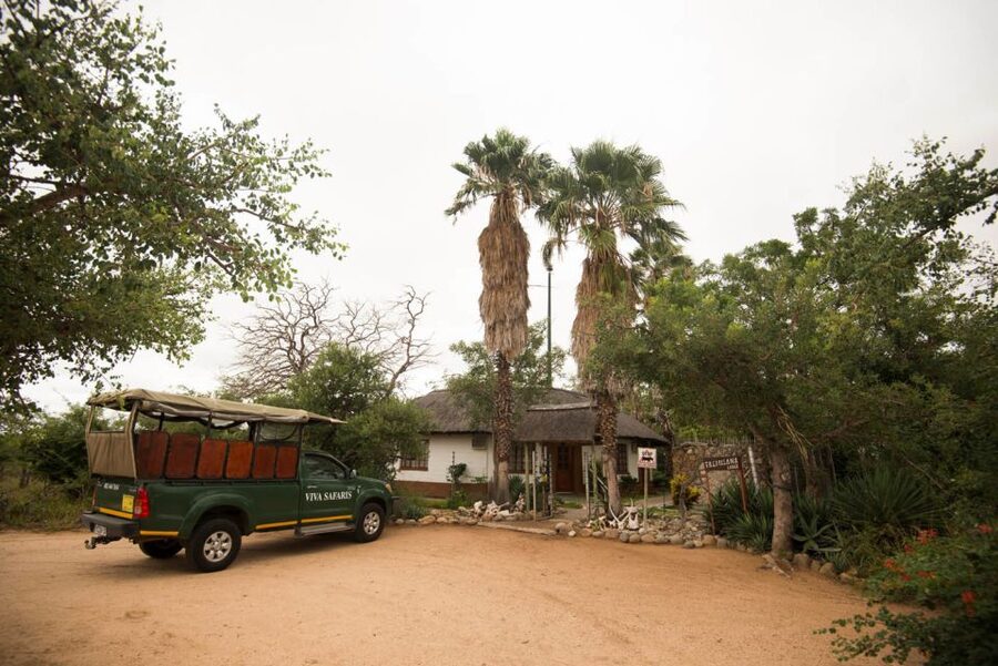 Johannesburg: 5-Day Classic Kruger National Park Safari - Guides and how the day stays moving (and safe)