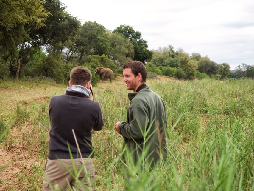 Johannesburg: 5-Day Classic Kruger National Park Safari - Day 1: Highveld to Tremisana, then sunset and night viewing