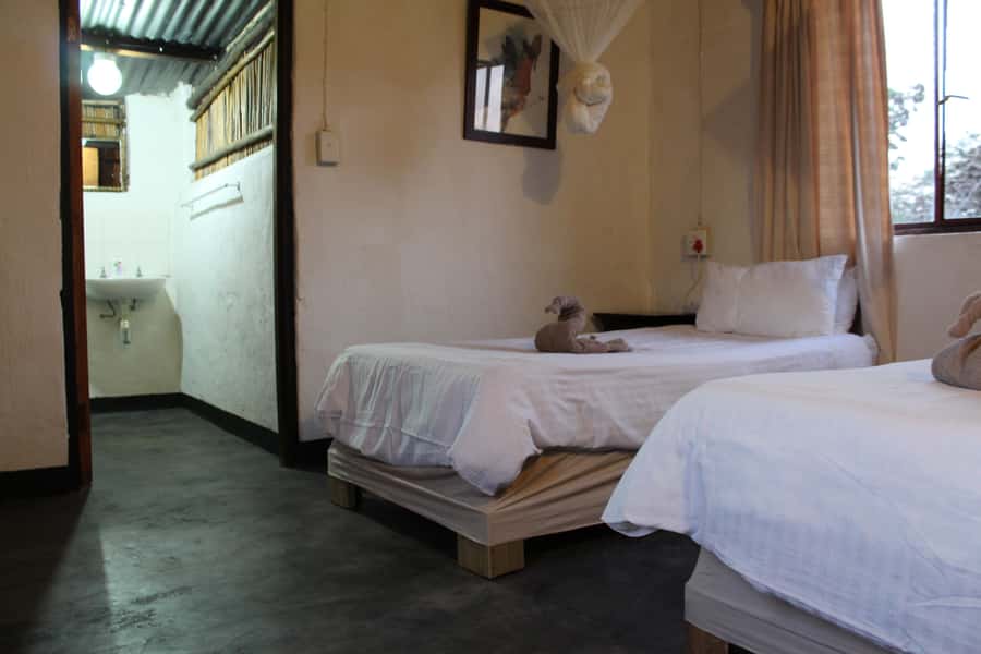 Johannesburg: Affordable 3 Day Kruger Park Safari - Guides and Group Size: Small, Organized, and Built for Sightings