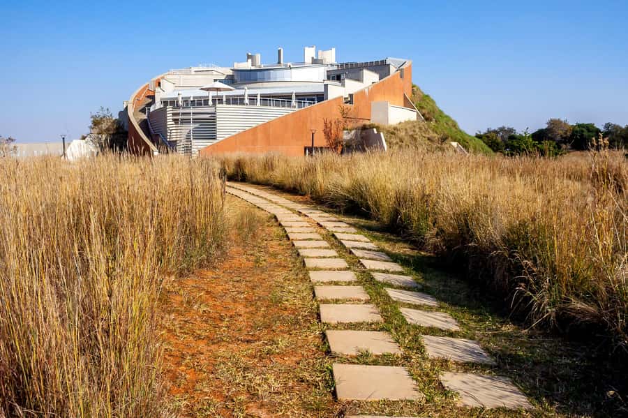 Johannesburg: Lion Park Safari and Cultural Village Tour - From Johannesburg to the Cradle of Humankind: how the day gets you out fast