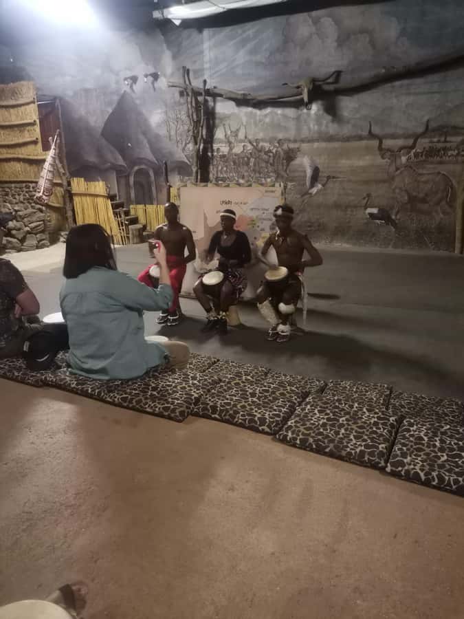 Johannesburg: Lion Park Safari and Cultural Village Tour - Should you book the Johannesburg Lion Park and Lesedi tour?