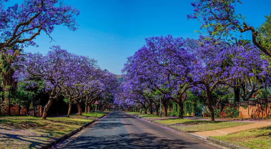 Johannesburg: Pretoria and Cullinan Diamond Mine Tour - Quick take: what makes this tour worth your time