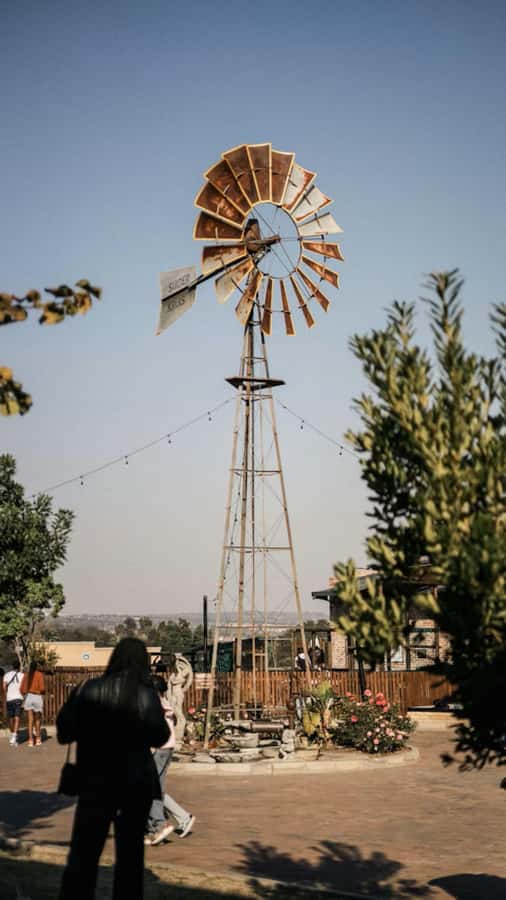 Johannesburg: Private Walking Tour with a Local - Key points to know before you go