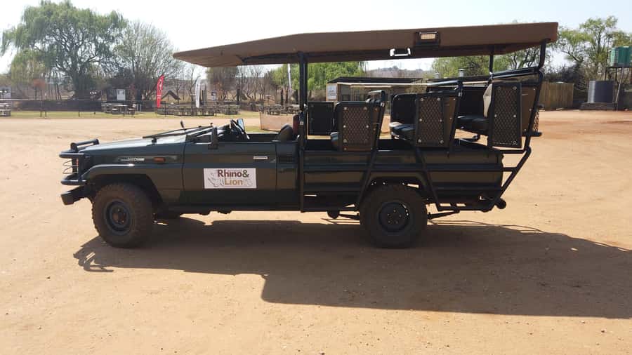 Johannesburg: Rhino and Lion Nature Reserve Safari - Species on the reserve: what to watch for during your 2-hour drive