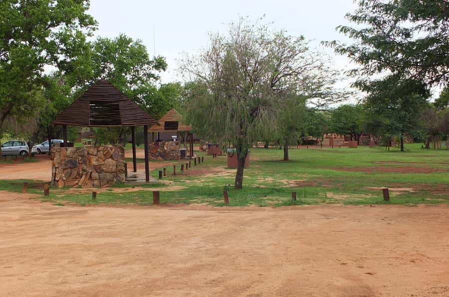 Johannesburg: Rhino and Lion Nature Reserve Safari - What to bring, and what not to do on safari