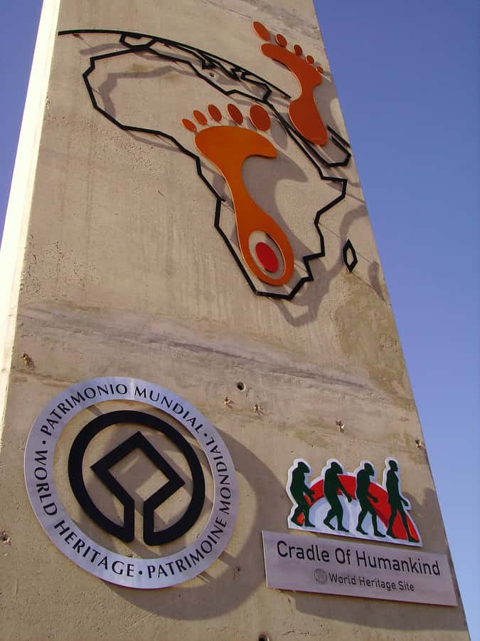 Johannesburg: Soweto, Apartheid Museum, and Cradle tours - How This Johannesburg Day Connects Two Very Different Eras