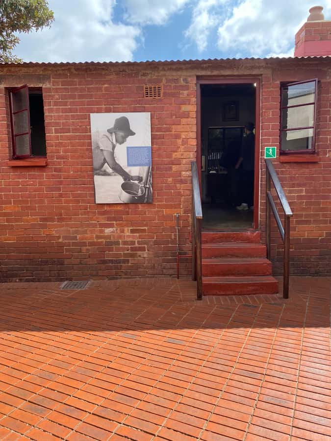 Johannesburg: Soweto & Apartheid Museum Half-Day Tour - A half-day tour that connects Soweto street life to apartheid-era power