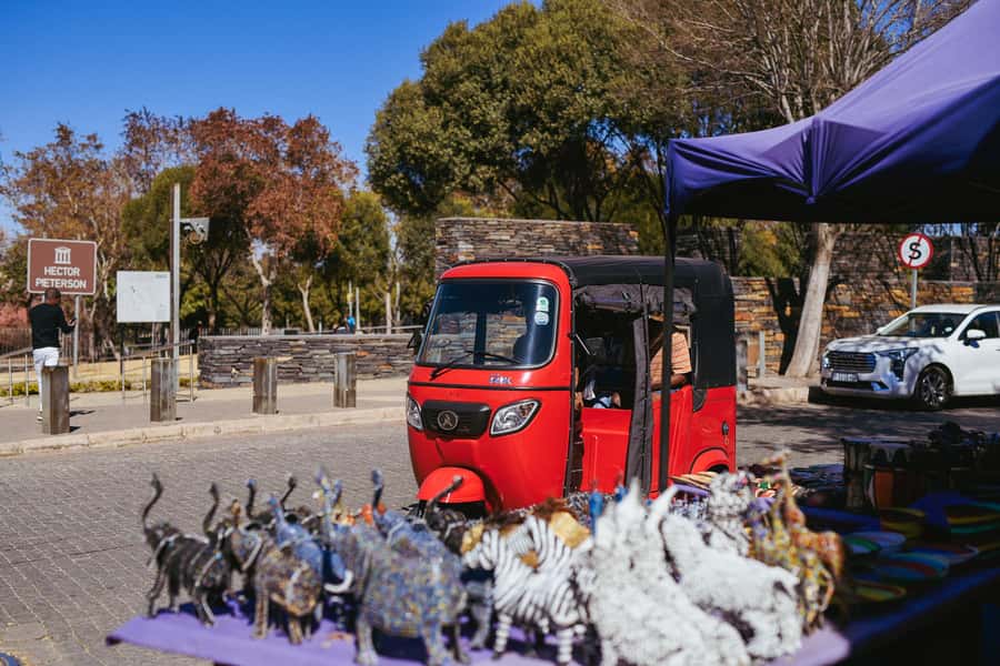 Johannesburg: Soweto Tour by Tuk Tuk - Key points before you go