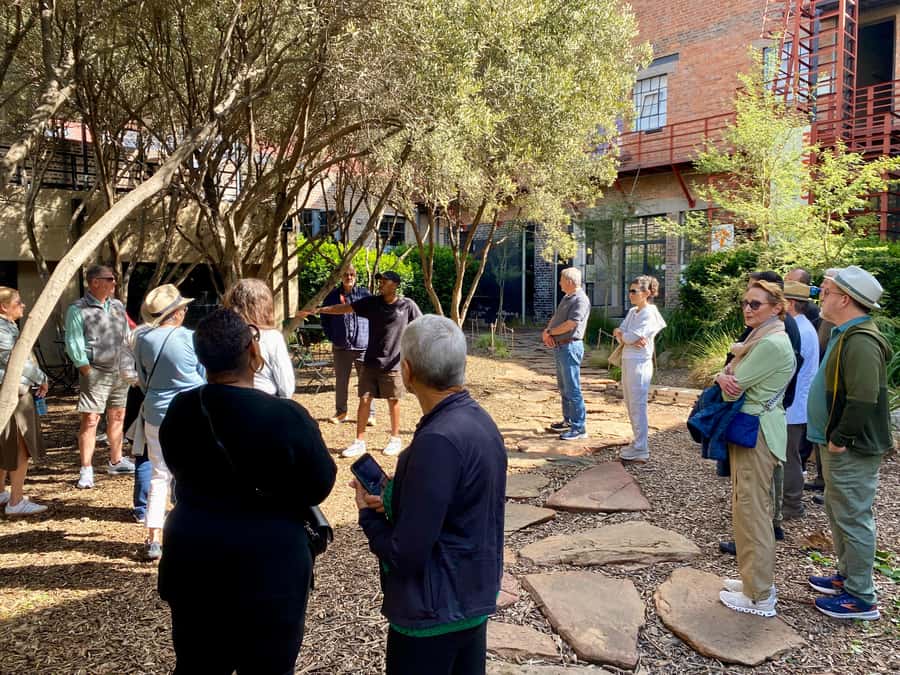 Johannesburg: Street Art and Culture in Maboneng! - Viewpoint time, plus the rhythm of a good walking tour