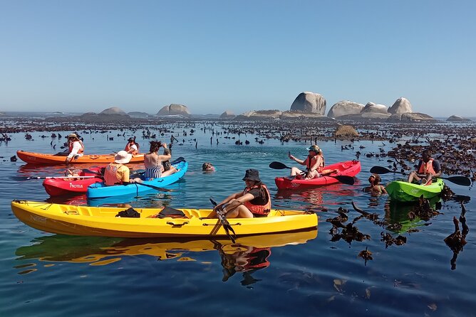 Kayak Adventure at Clifton Beach - Clifton 1st Beach to Maiden’s Cove Side: Kelp Forests, Rock Pools, and Optional Masks