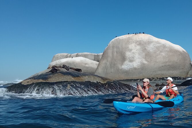 Kayak Adventure at Clifton Beach - Price and Value: What $28.86 Buys You in Cape Town