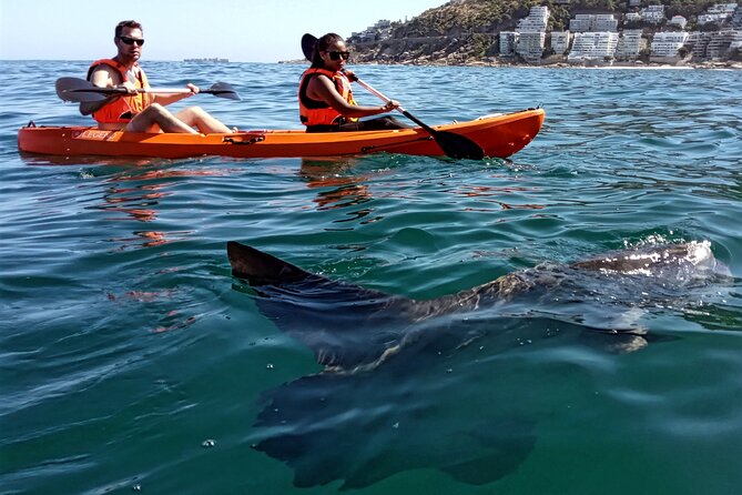 Kayak Adventure at Clifton Beach - Weather Reality in Cape Town: Plan Early and Stay Flexible