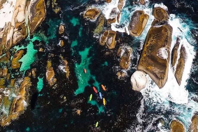 Kayak Adventure at Clifton Beach - What This Trip Feels Like for Different Travelers