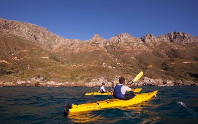 Kayak Chapman’s Peak and Karbonkelberg in Hout Bay