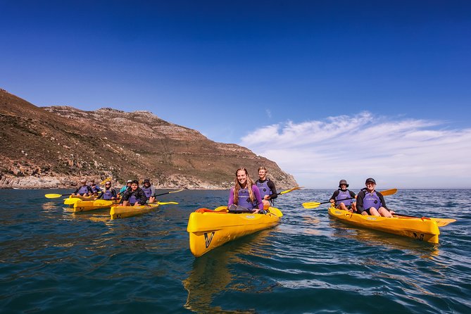 Kayak Chapman's Peak and Karbonkelberg in Hout Bay - What’s included, what isn’t, and what to pack anyway