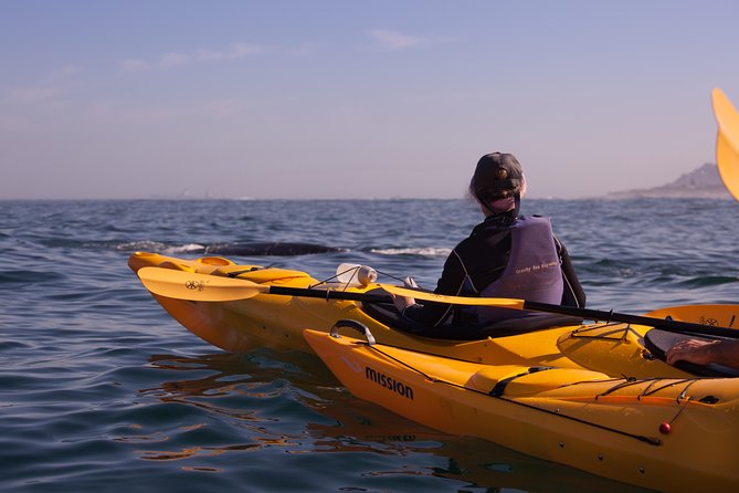 Kayak Chapman's Peak and Karbonkelberg in Hout Bay - Weather reality check: when the ocean says no