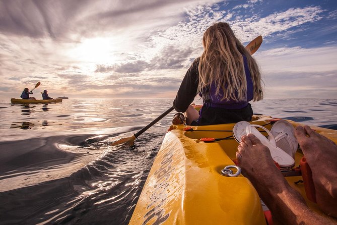 Kayak to the penguins in Simons Town - The route loop: Harbour views, Boulders penguins, Windmill Beach stops