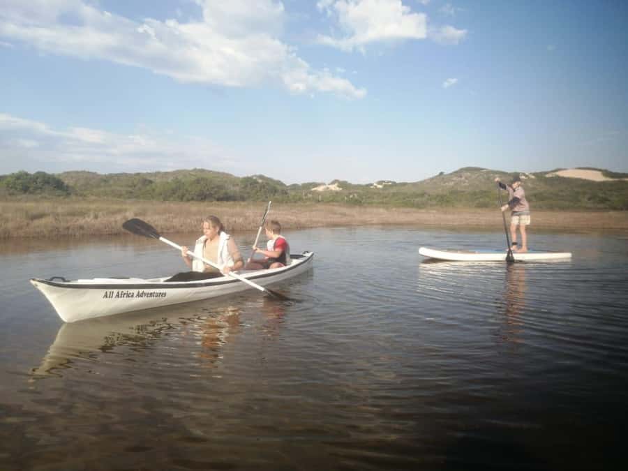 Kayaking Jeffreys Bay - Wildlife and Flamingos: What You Can Hope For