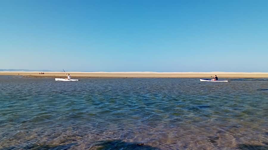 Kayaking Jeffreys Bay - Who This Kayak Tour Suits Best, and Who Should Skip It