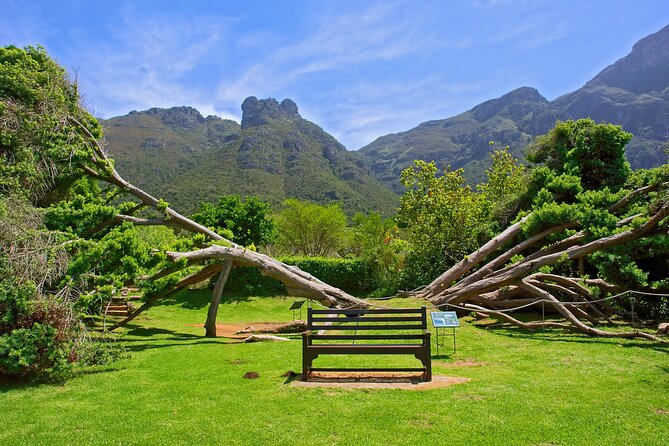 Kirstenbosch Garden, Bo-Kaap-Penguins & Cape of Good Hope Tour - St James Beach Victorian cabanas, plus coastal stops that stretch your views