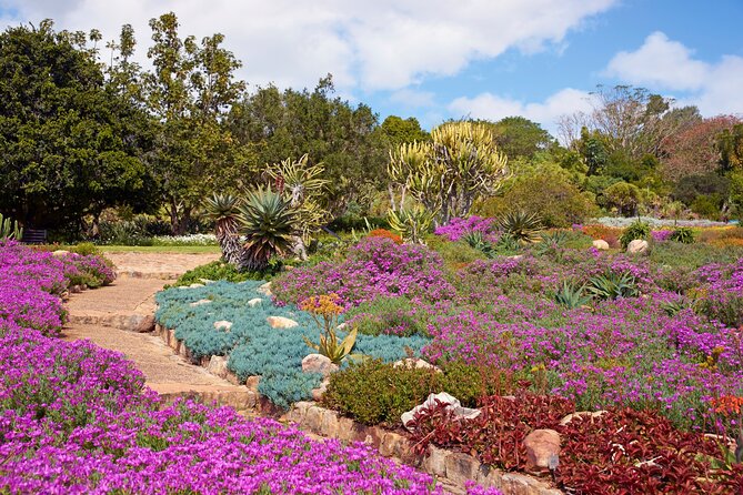 Kirstenbosch Garden, Bo-Kaap-Penguins & Cape of Good Hope Tour - Kalk Bay Harbour fish market, wharf walks, and a smart lunch option