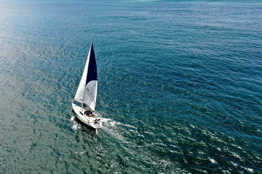 Knysna: 1.5-Hour Sailing Experience - Key points to know before you step aboard