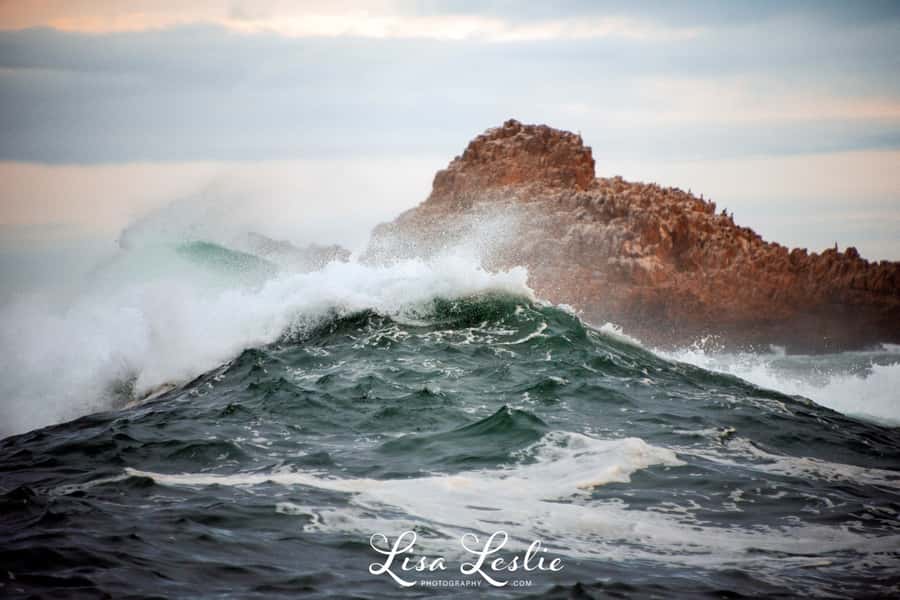 Knysna: 2.5-Hour Day Sail & Lunch Charter - The 2.5-Hour Flow, From Drydock Food Co to Back on Shore