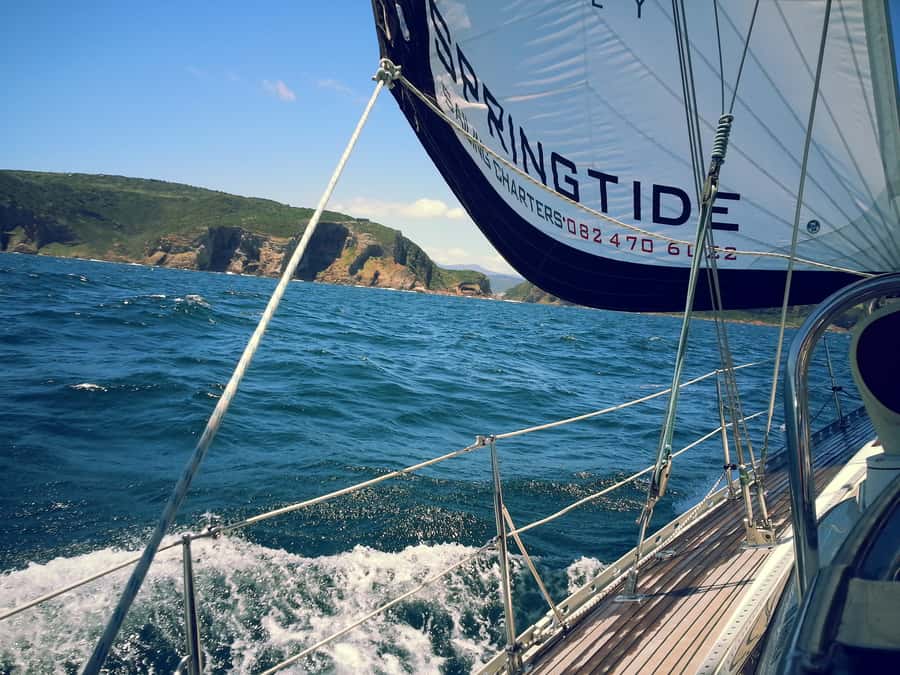 Knysna: 2.5-Hour Day Sail & Lunch Charter - Who Should Book This Sail, and Who Might Prefer Something Else