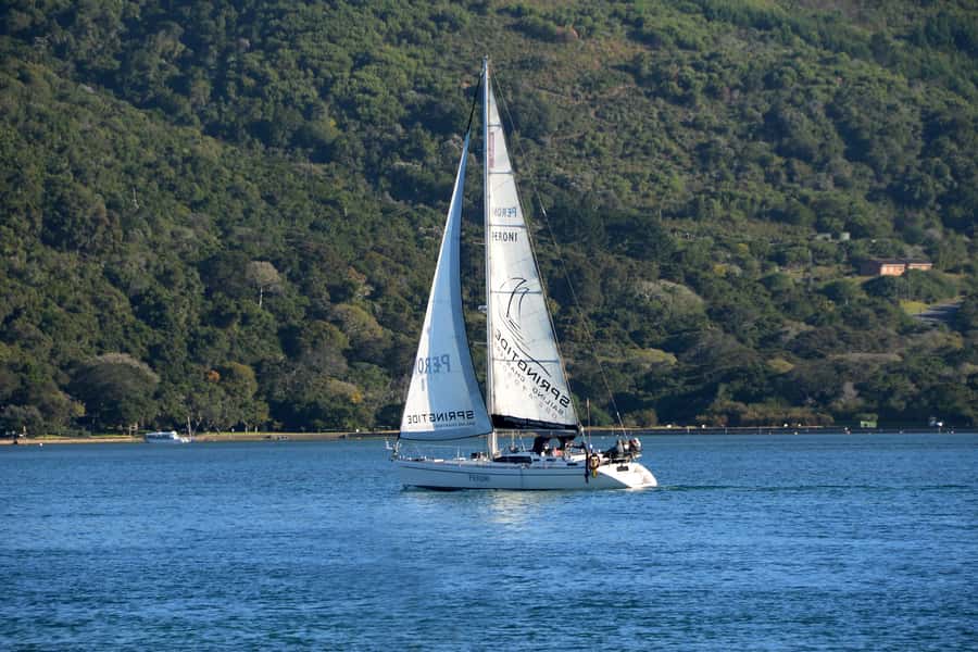 Knysna: 2.5-Hour Day Sail & Lunch Charter - Should You Book the Outeniqua 2.5-Hour Day Sail?